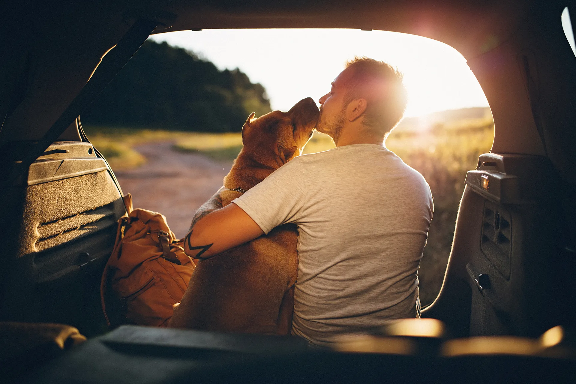 Man with dog watching sunset from the hatchback of car